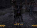 FalloutNV 2012-05-19 18-22-34-23.png